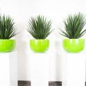 3 zuil gr bak yucca -3918